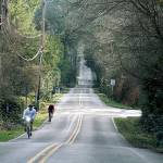 Two bicyclists make their way along a north Bainbridge roadway. (Brian Kelly | Bainbridge Island Review)