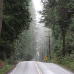 Bainbridge council OKs $1.3 million contract for roadside work