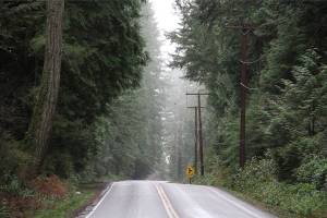 Bainbridge council OKs $1.3 million contract for roadside work