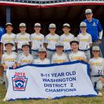 Bainbridge boys to play for state title