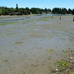 That’s pretty low | Photo of the day 7.13