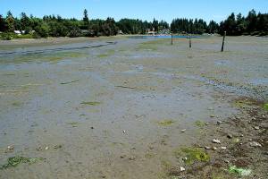 That’s pretty low | Photo of the day 7.13