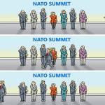 Trump’s 77th week in office | In cartoons