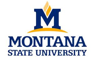 Islanders are spring graduates at MSU