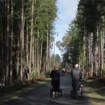 Picnic on the STO planned