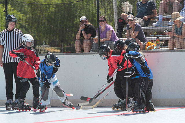 Return to the rink | Photo gallery