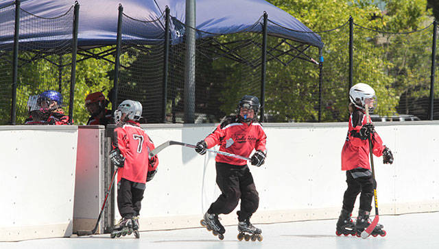 Return to the rink | Photo gallery