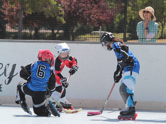 Return to the rink | Photo gallery