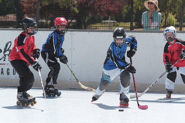 Return to the rink | Photo gallery