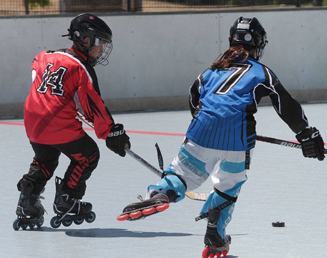 Return to the rink | Photo gallery