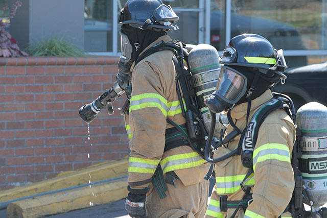 Bainbridge firefighters douse VW fire | Photo gallery