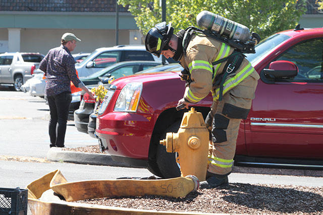 Bainbridge firefighters douse VW fire | Photo gallery