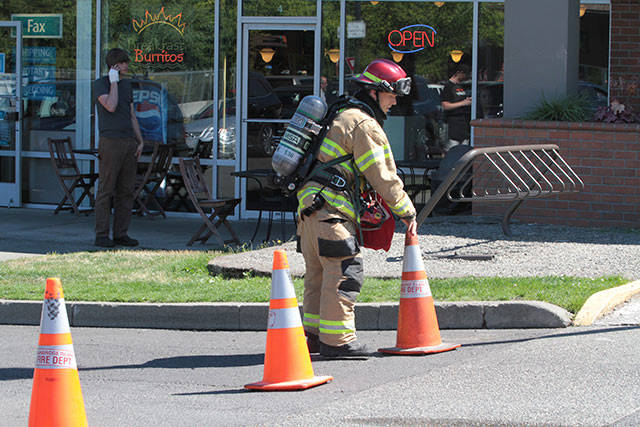 Bainbridge firefighters douse VW fire | Photo gallery