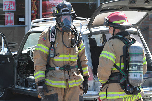 Bainbridge firefighters douse VW fire | Photo gallery