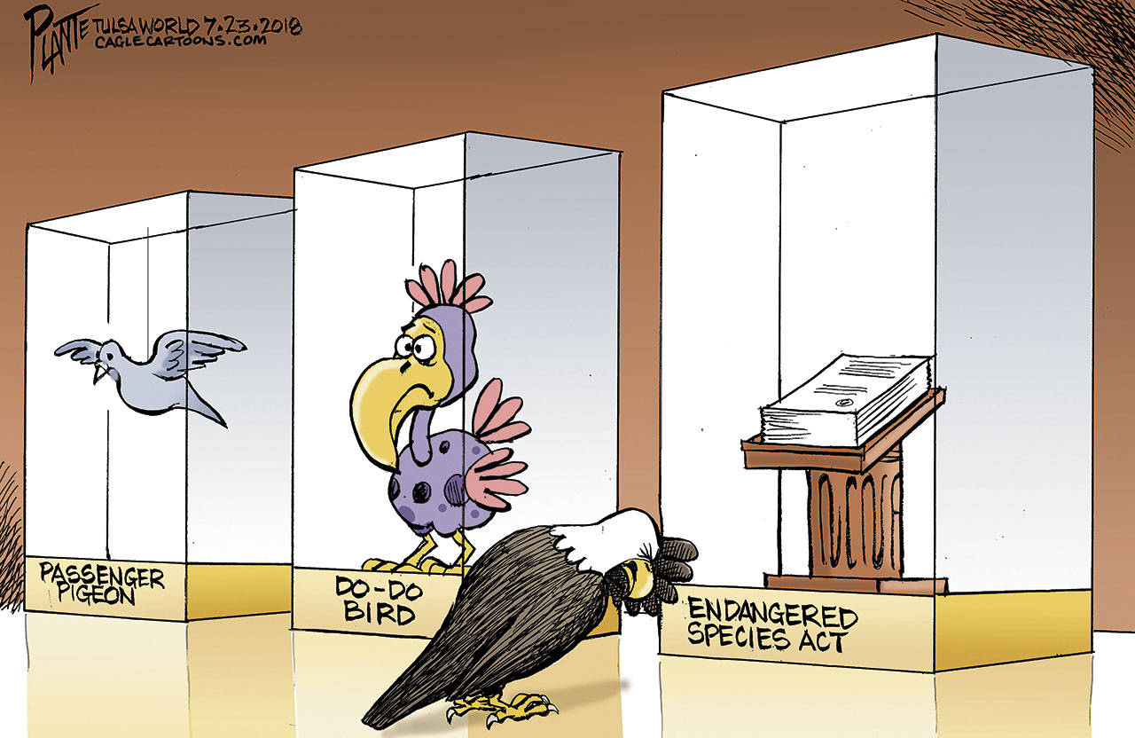 Today’s cartoon for Saturday, July 28