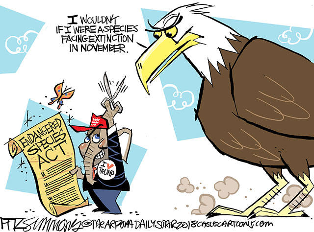 Trump’s 79th week in office | In cartoons