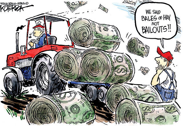 Trump’s 79th week in office | In cartoons