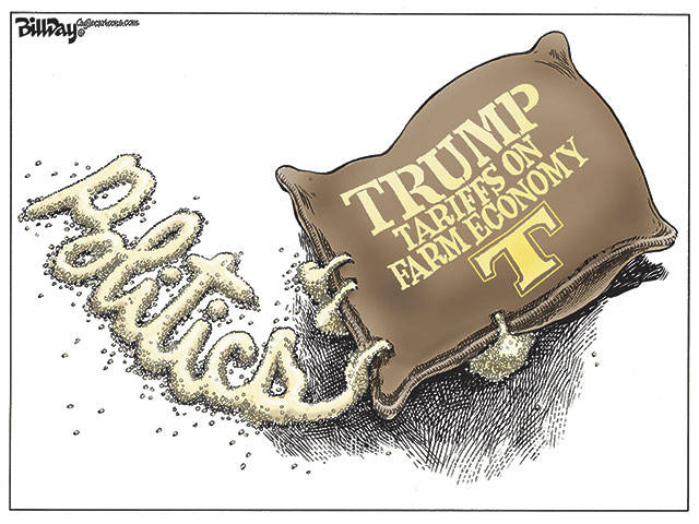 Trump’s 79th week in office | In cartoons