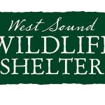 West Sound Wildlife Shelter gets grant for educational programs
