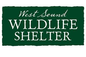 West Sound Wildlife Shelter gets grant for educational programs