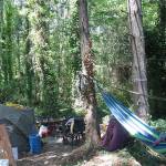 Bainbridge city manager: No ‘good solutions’ yet on addressing Highway 305 homeless camp