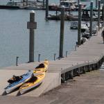 Auditor notes cash-handling problems from city dock