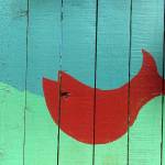 Fish on the fence | Photo of the day 8.8