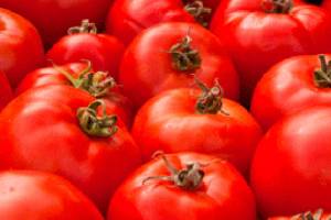 Tomato Taste Off returns to BI farmers market