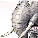 Today’s cartoon for Wednesday, Aug. 15