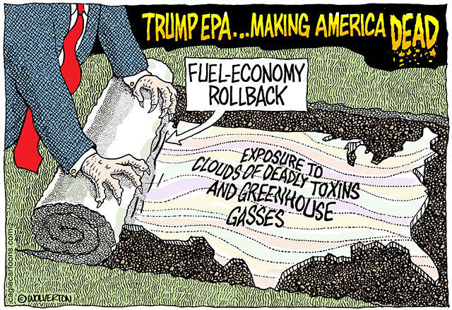 Trump’s 81st week in office | In cartoons