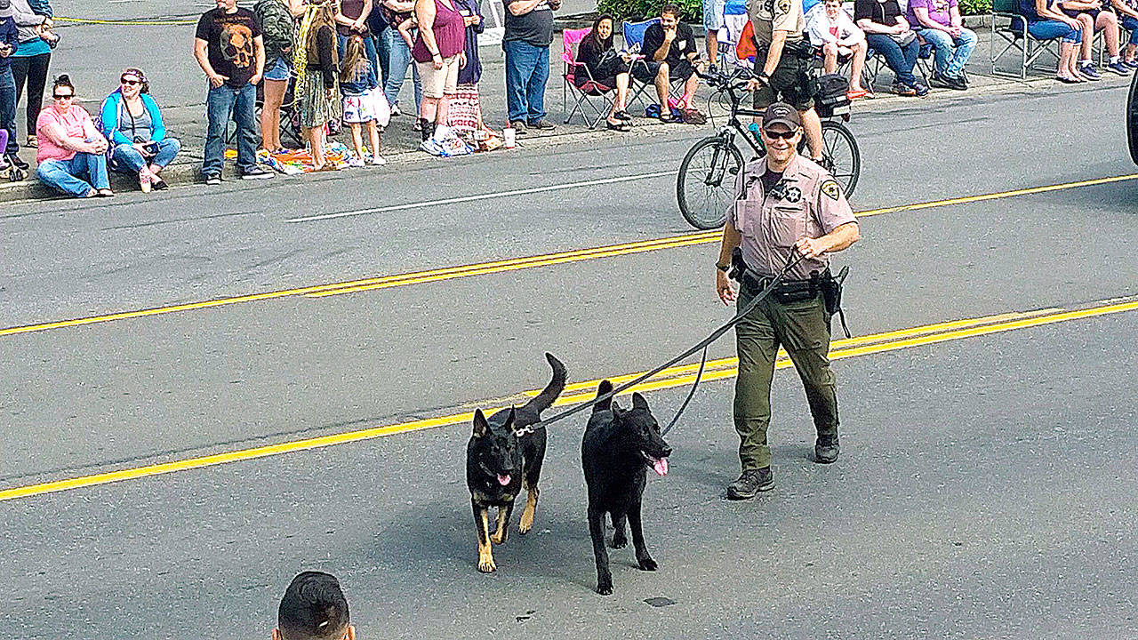 Sheriff K-9 unit to perform demonstrations at Kitsap County Fair