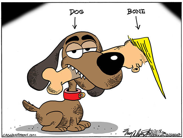 Trump’s 82nd week in office | In cartoons