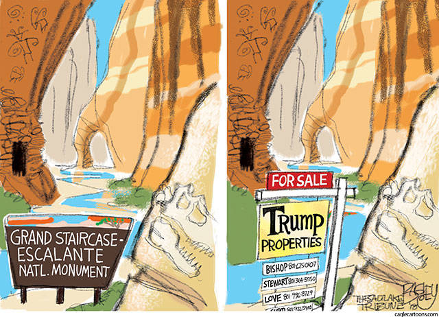 Trump’s 82nd week in office | In cartoons