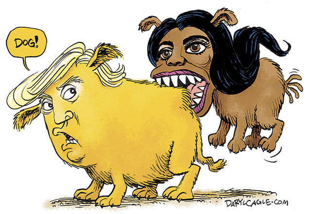 Trump’s 82nd week in office | In cartoons