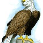 Senator John McCain: In Memory