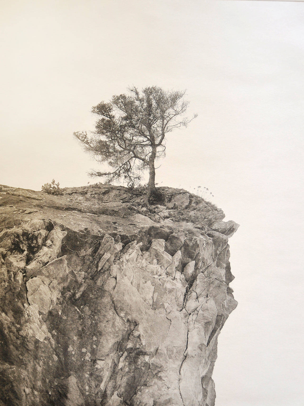 Image courtesy of The Art Project | Mark McKnights Against the Wind.