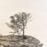 BARN show on display at Winslow gallery