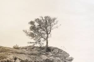 BARN show on display at Winslow gallery