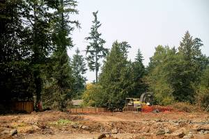 All cleared out | Photo of the day 8.14