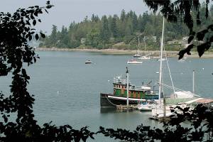 The view from here | Photo of the day 8.16