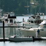 Tow, tow, tow your boat | Photo of the day 8.18