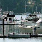 Tow, tow, tow your boat | Photo of the day 8.18