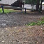 Thomas Clune was injured when he crashed his mountain bike while riding through this section of Waterfront Park.