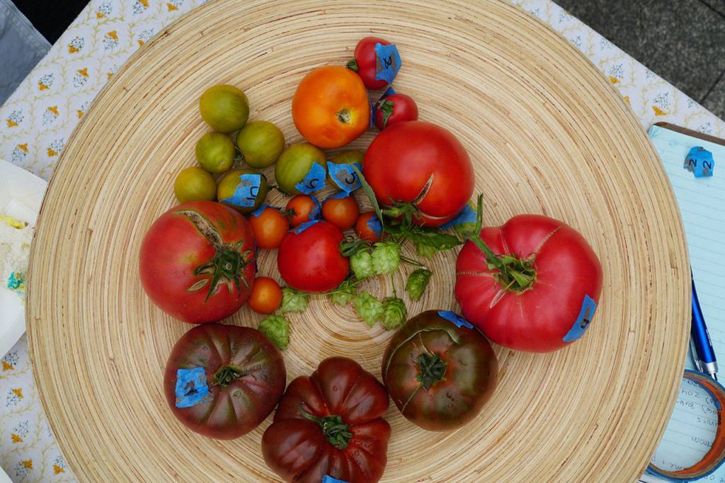 Tomato Taste Off returns to farmers market | Photo gallery