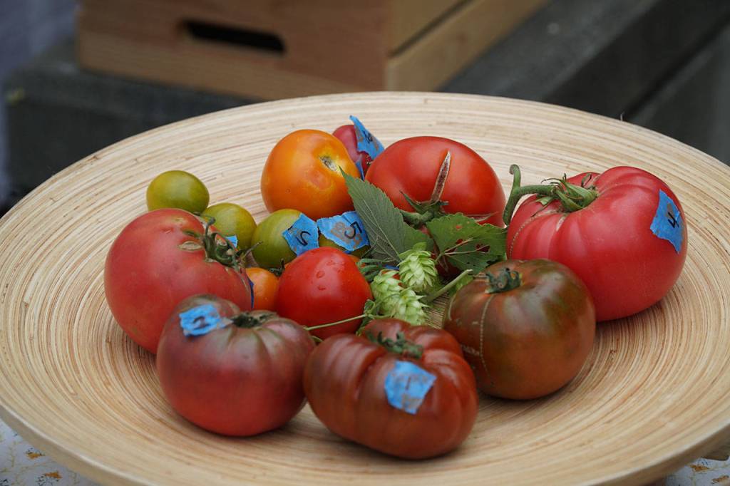 Tomato Taste Off returns to farmers market | Photo gallery