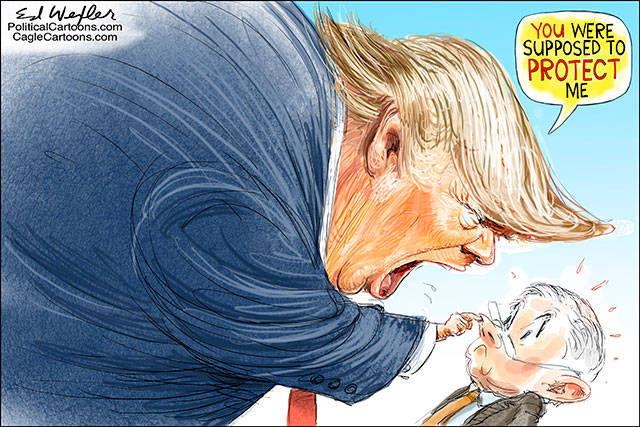 Trump’s 84th week in office | In cartoons