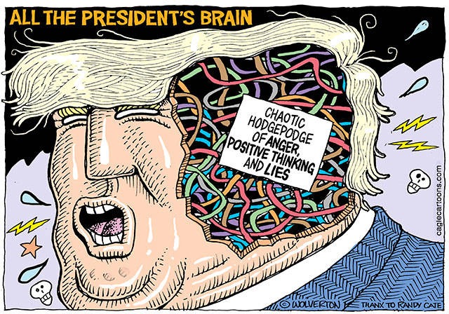 Trump’s 84th week in office | In cartoons