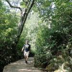 Walk on the wild side | Photo of the day 8.27