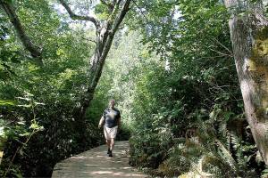 Walk on the wild side | Photo of the day 8.27