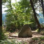 A rock in the park | Photo of the day 8.31